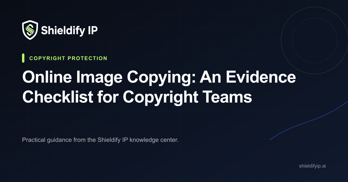 Online image copying copyright evidence checklist