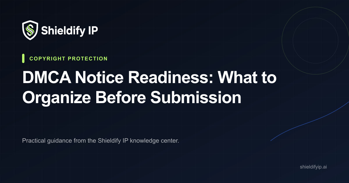 DMCA notice readiness checklist and case documents